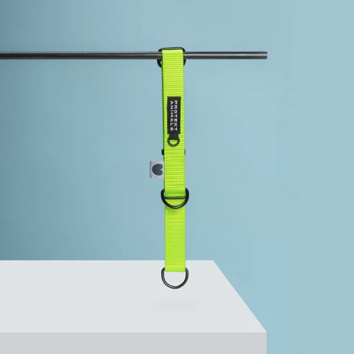 Obroża półzaciskowa dla psa zielona - Neon Green | Protekt Animals