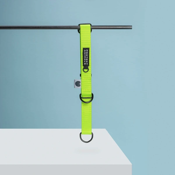 Obroża półzaciskowa | Neon green