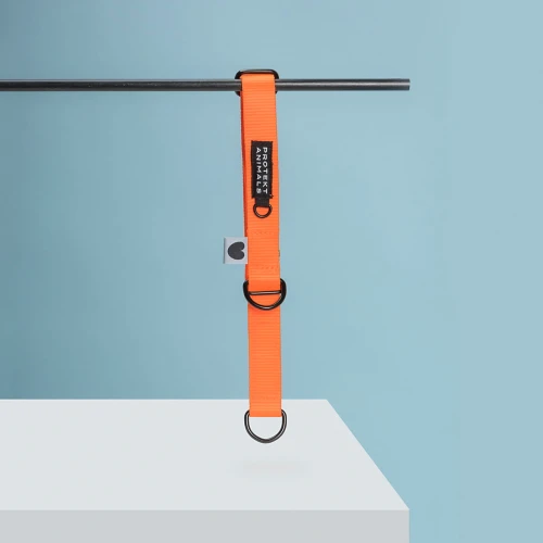 Obroża półzaciskowa dla każdego psa - Neon Orange | Protekt Animals