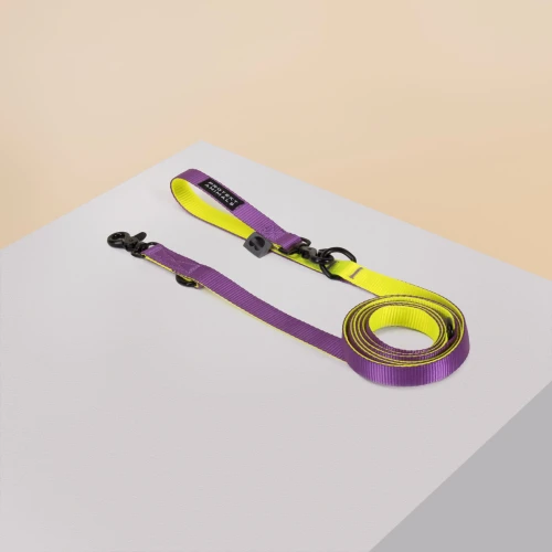 SmyczDUO _yellow-purple-ProtektAnimals-01.jpg
