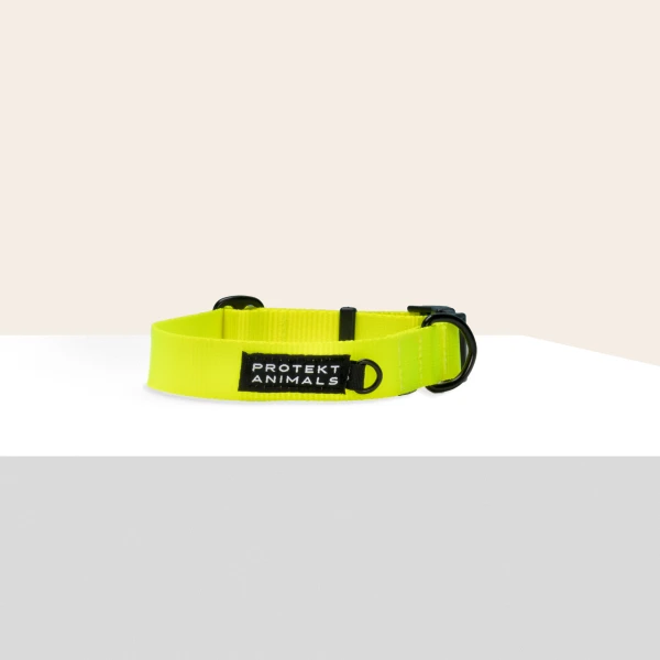 Obroża | Neon yellow