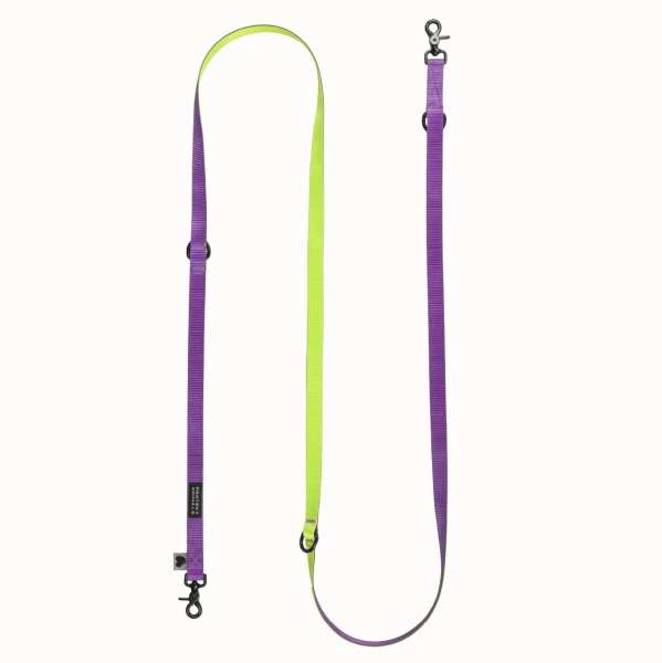 Smycz Duo  | purple - yellow
