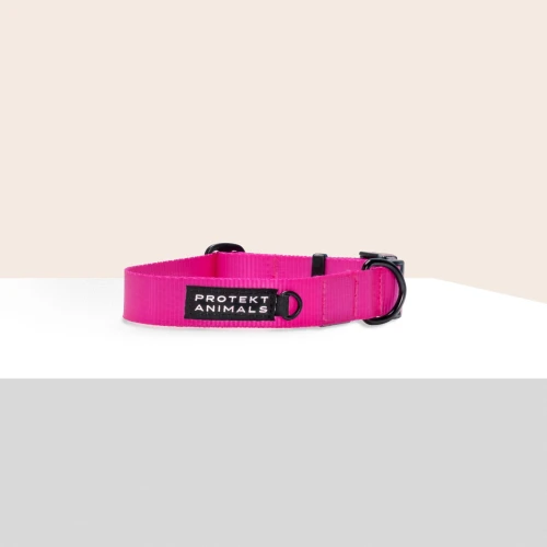 Obroża dla psa wąska - Neon pink | Protekt Animals