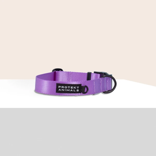 Obroża | Neon purple