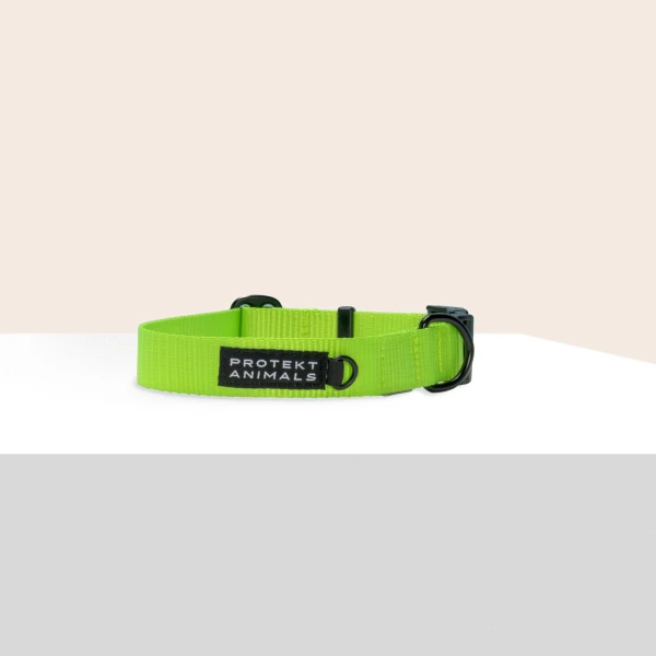 Obroża | Neon green