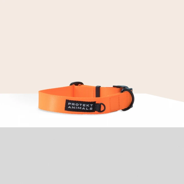 Obroża | Neon orange