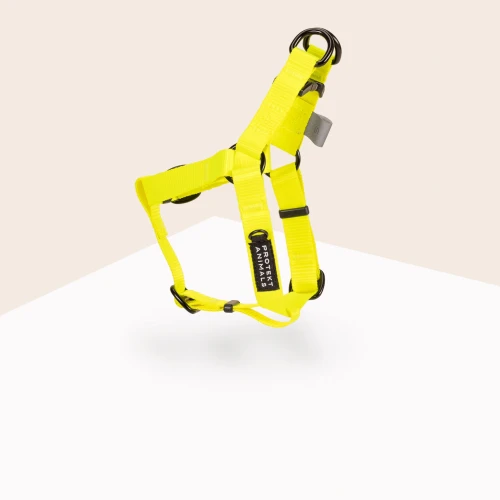 Szelki-Step-In-Neon-yellow.jpg
