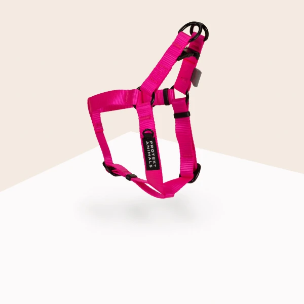 Szelki Step In | Neon pink