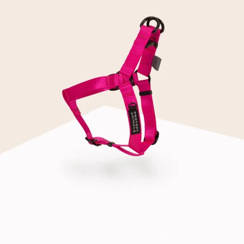 Szelki-Step-In-Neon-pink.jpg