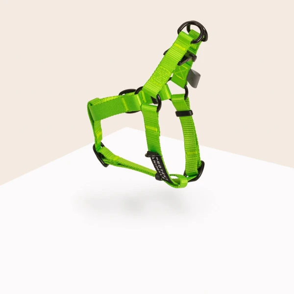 Szelki Step In | Neon green