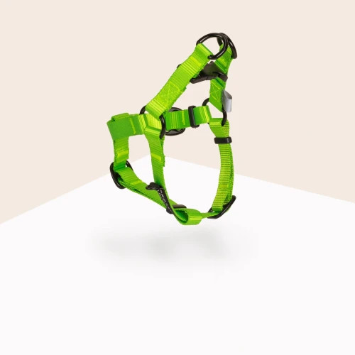 Szelki-Step-In-Neon-green-2.jpg