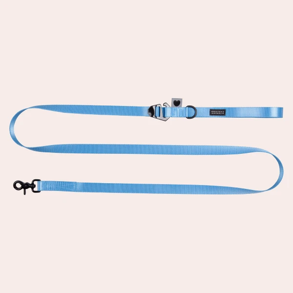 Smycz z regulacją długości hands free | Neon blue